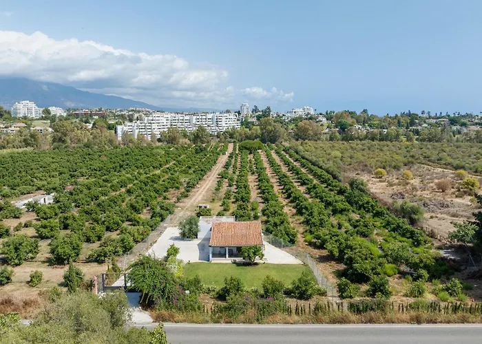 La Casa De Aguacates Entre Marbella, Benahavis Y 펜션 *