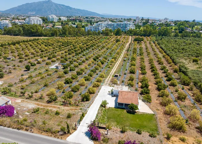 La Casa De Aguacates Entre Marbella, Benahavìs Y Сasa de vacaciones *