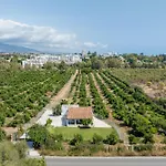 La Casa De Aguacates Entre Marbella, Benahavis Y Tatil Evi *