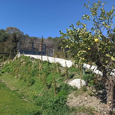 La Casa De Aguacates Entre Marbella, Benahavis Y Feriehus *